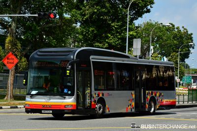 Bus 805 - SBS Transit MAN NL323F (A22) (SMB3109L)