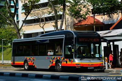 Bus 807A - SBS Transit MAN NL323F (A22) (SMB3110G)