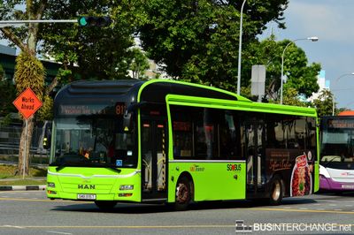 Bus 811 - SBS Transit MAN NL323F (A22) (SMB3115T)