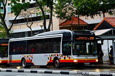Bus 811A - SBS Transit MAN NL323F (A22) (SMB3119H)