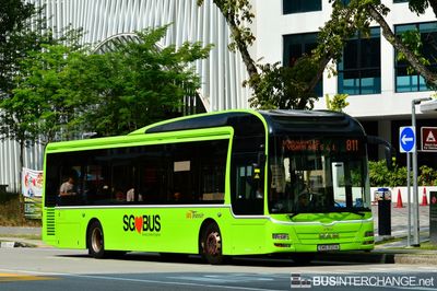 Bus 811 - SBS Transit MAN NL323F (A22) (SMB3121A)