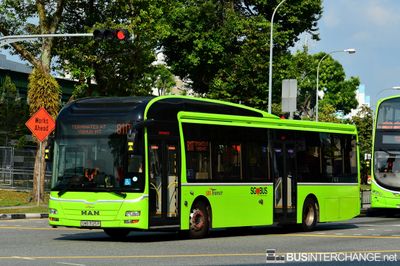 Bus 811T - SBS Transit MAN NL323F (A22) (SMB3125P)