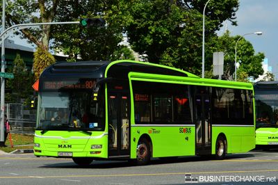 Bus 804 - SBS Transit MAN NL323F (A22) (SMB3132T)