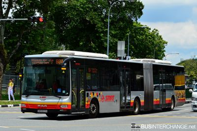 Bus 804 - SMRT Buses MAN NG363F (A24) (SMB8003A)
