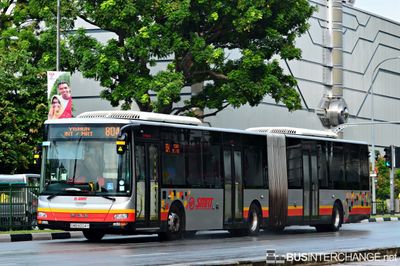 Bus 804 - SMRT Buses MAN NG363F (A24) (SMB8004Y)