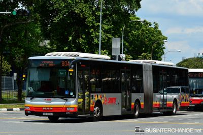 Bus 804 - SMRT Buses MAN NG363F (A24) (SMB8006S)