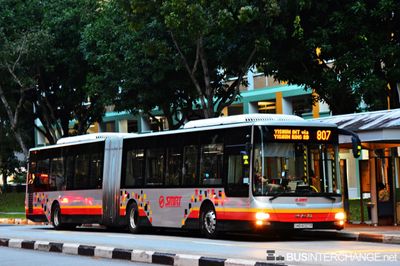 Bus 807 - SMRT Buses MAN NG363F (A24) (SMB8007P)