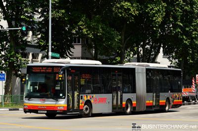 Bus 860 - SMRT Buses MAN NG363F (A24) (SMB8008L)