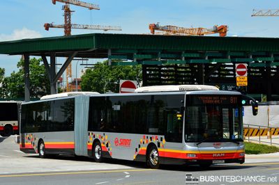 Bus 811 - SMRT Buses MAN NG363F (A24) (SMB8009J)