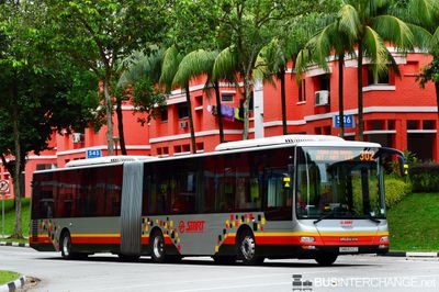 Bus 302 - SMRT Buses MAN NG363F (A24) (SMB8012Z)