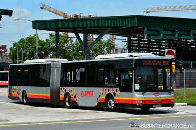 Bus 806 - SMRT Buses MAN NG363F (A24) (SMB8015R)