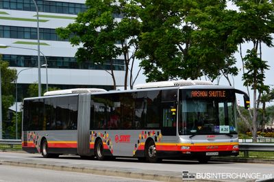 SMRT Buses MAN NG363F (A24) (SMB8016M) - AIRSHOW SHUTTLE