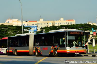 Bus 67 - SMRT Buses MAN NG363F (A24) (SMB8019E)