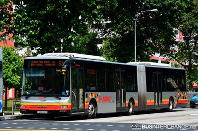 Bus 67 - SMRT Buses MAN NG363F (A24) (SMB8032R)