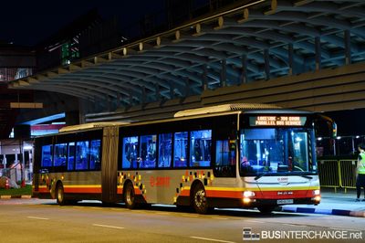 SMRT Buses MAN NG363F (A24) (SMB8039Y) - LKS-JKN