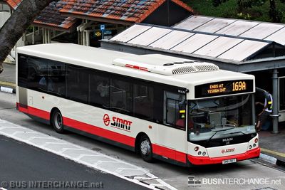 Bus 169A - SMRT Buses MAN NL323F (A22) (SMB138Y)