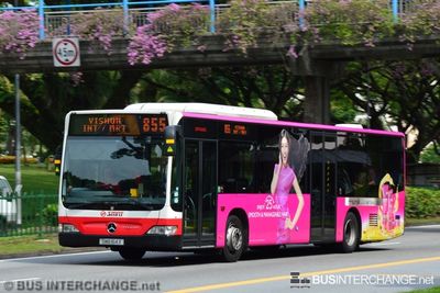 Bus 855 - SMRT Buses Mercedes-Benz Citaro (SMB164X)