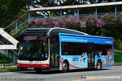 SMB194J · 852