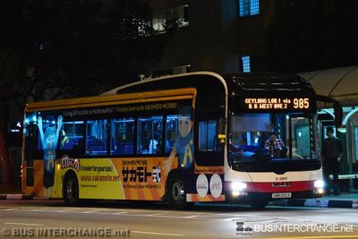 Bus 985 - SMRT Buses MAN NL323F (A22) (SMB200A)