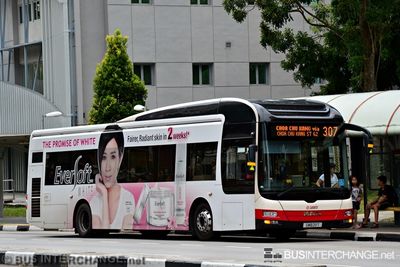 Bus 307 - SMRT Buses MAN NL323F (A22) (SMB211T)