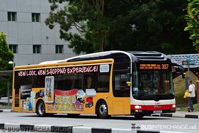 Bus 307 - SMRT Buses MAN NL323F (A22) (SMB212R)