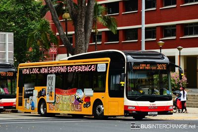 Bus 307E - SMRT Buses MAN NL323F (A22) (SMB212R)