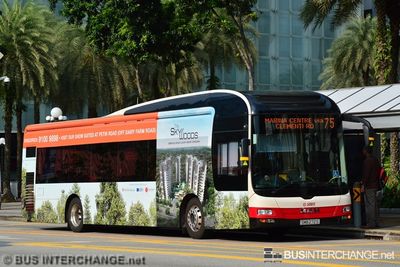 Bus 75 - SMRT Buses MAN NL323F (A22) (SMB272S)