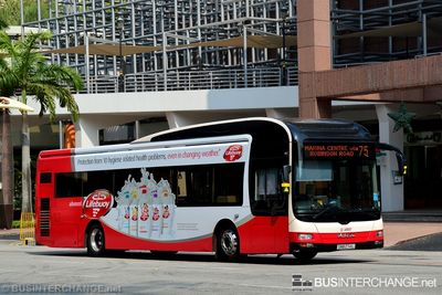 Bus 75 - SMRT Buses MAN NL323F (A22) (SMB274L)