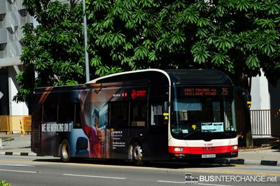 Bus 75 - SMRT Buses MAN NL323F (A22) (SMB 328R)