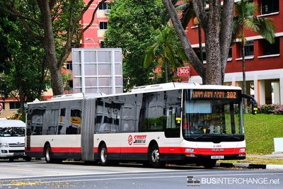 Bus 302 - SMRT Buses MAN NG363F (A24) (SMB388S)