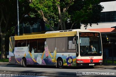 Bus 61 - SMRT Buses Mercedes-Benz OC500LE (SMB35K)