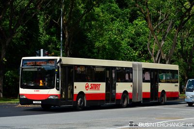 TIB 986M · 176