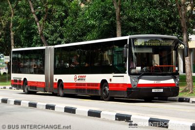Bus 800 - SMRT Buses Mercedes-Benz O405G (TIB1060C)