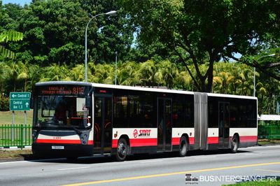 TIB1109Y · 811E