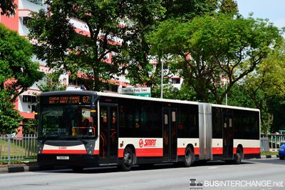 Bus 67 - SMRT Buses Mercedes-Benz O405G (TIB1119T)