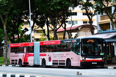 Bus 804 - SMRT Buses Mercedes-Benz O405G (TIB1121K)