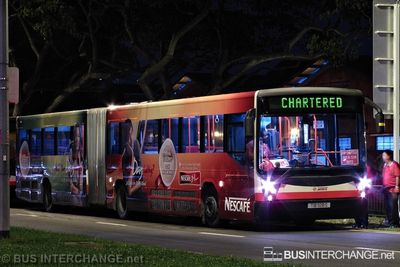 SMRT Buses Mercedes-Benz O405G (TIB1128S) - CHARTERED