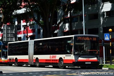 Bus 300 - SMRT Buses Mercedes-Benz O405G (TIB1132D)