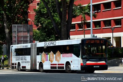 Bus 67 - SMRT Buses Mercedes-Benz O405G (TIB1135X)
