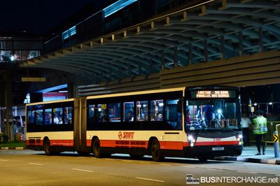 TIB1145S · PBS