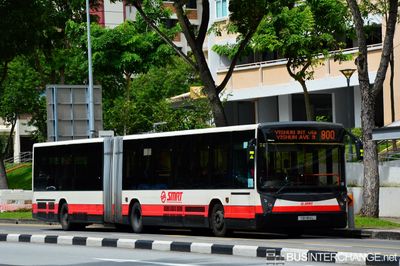 Bus 800 - SMRT Buses Mercedes-Benz O405G (TIB1164L)