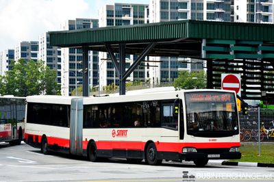 Bus 804 - SMRT Buses Mercedes-Benz O405G (TIB1178Y)