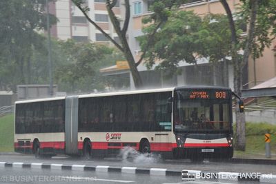 Bus 800 - SMRT Buses Mercedes-Benz O405G (TIB1199L)