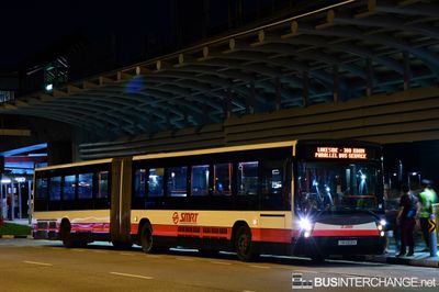 SMRT Buses Mercedes-Benz O405G (TIB1203H) - LKS-JKN