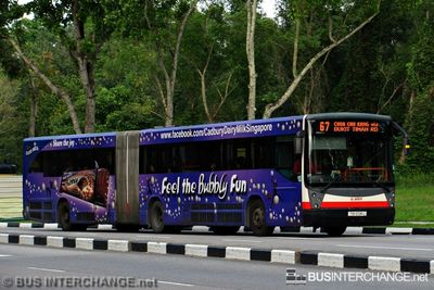 Bus 67 - SMRT Buses Mercedes-Benz O405G (TIB1208U)