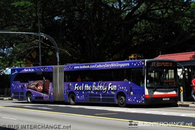 Bus 67 - SMRT Buses Mercedes-Benz O405G (TIB1208U)