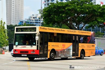 Bus 75 - SMRT Buses Mercedes-Benz O405 (TIB487L)