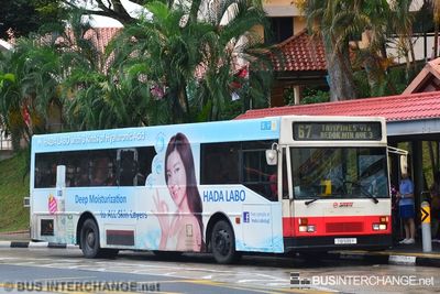 Bus 67 - SMRT Buses Mercedes-Benz O405 (TIB599Y)
