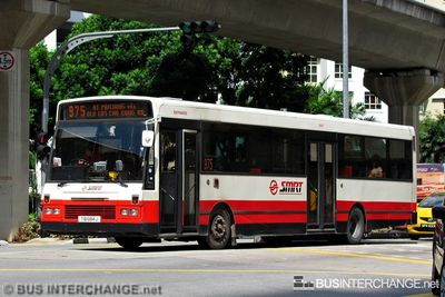 Bus 975 - SMRT Buses DAF SB220LT (TIB684J)
