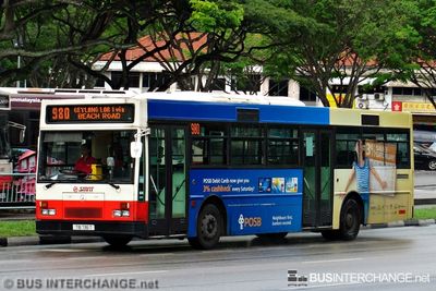 Bus 980 - SMRT Buses Mercedes-Benz O405 (TIB736T)